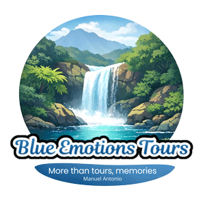 Blue Emotions Tours