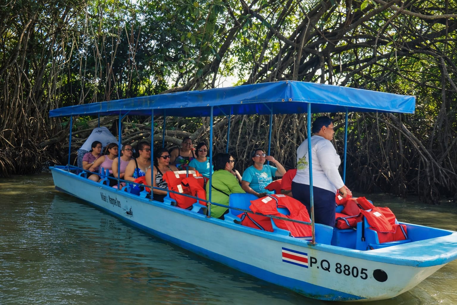 Mangrove Kayak Experience