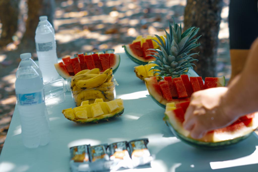 Refrigerio / Fresh Fruits